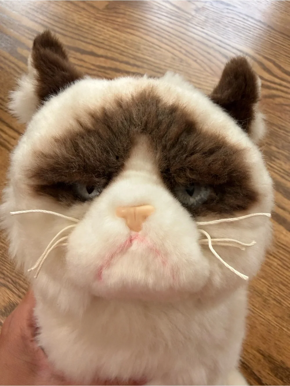 10” Plush Grumpy Cat by Gund